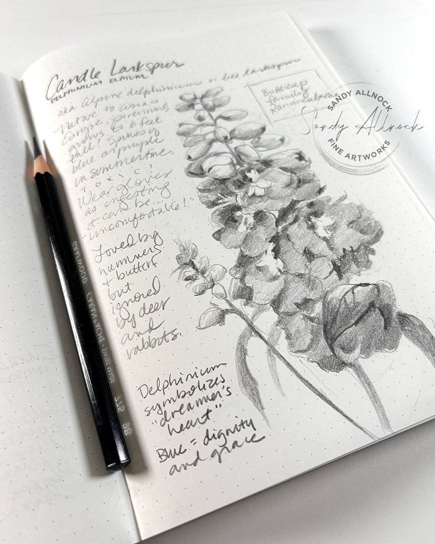 How to draw complex subjects — freehand! - Sandy Allnock